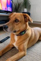 Julie Mathieu review photo