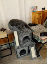 Sophie review photo
