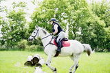 Happy horse gal review photo