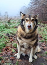 RALF review photo