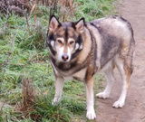 RALF review photo