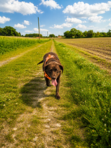 A. Standopp review photo