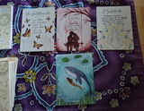 Janet Galipo review photo
