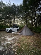 Scotty review photo