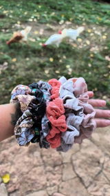 Xell Camps review photo