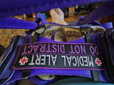 Amy Echols review photo