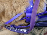 Amy Echols review photo