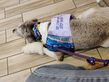 Briley review photo