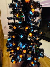 pablo gutierrez review photo