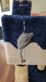 Olivie Bouchet review photo