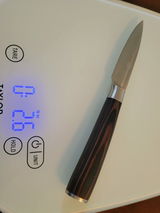 Armin O'Shaffee review photo
