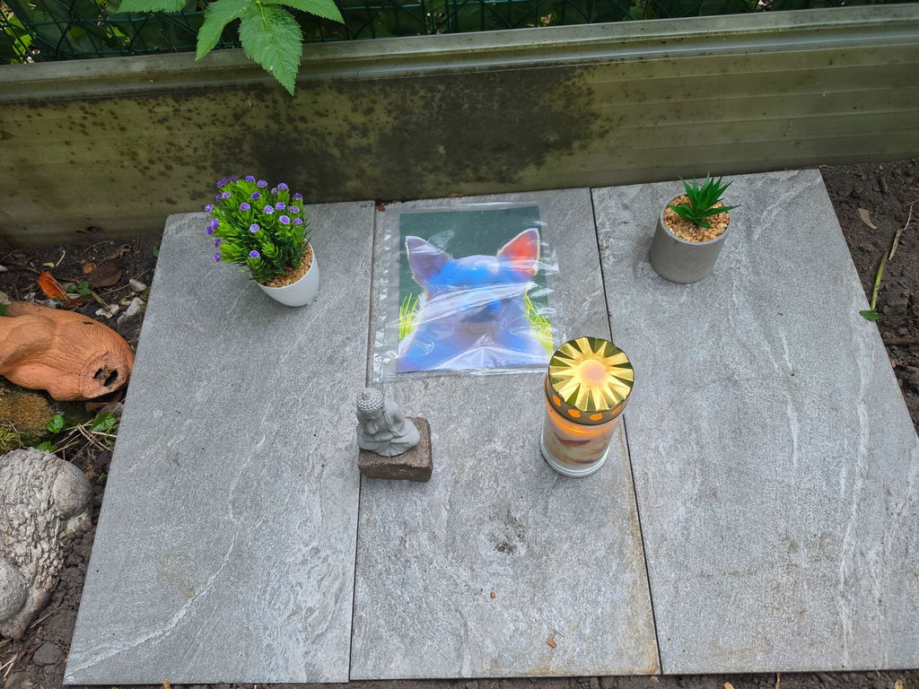 Personalisierter Schiefer Tiergrabstein 30x20cm - Foto Lasergravur