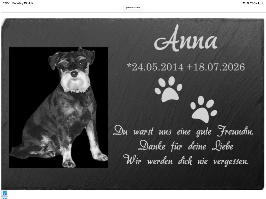 Personalisierter Schiefer Tiergrabstein 30x20cm - Foto Lasergravur