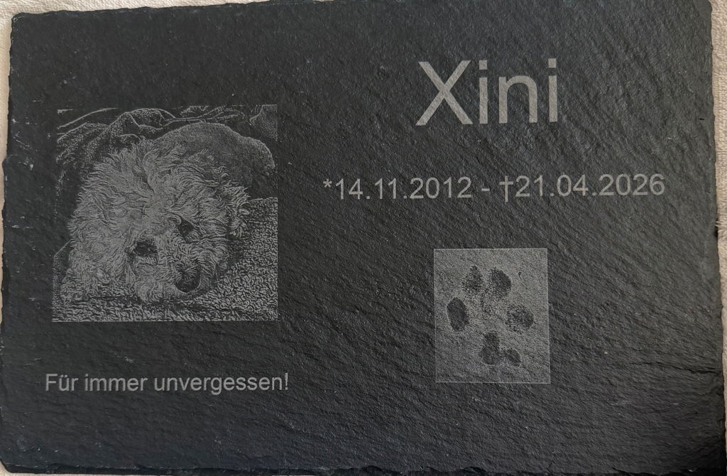 Personalisierter Schiefer Tiergrabstein 30x20cm - Foto Lasergravur