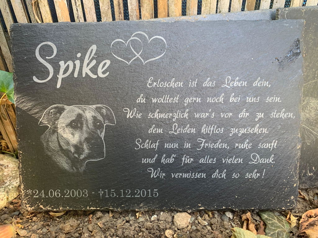 Personalisierter Schiefer Tiergrabstein 30x20cm - Foto Lasergravur