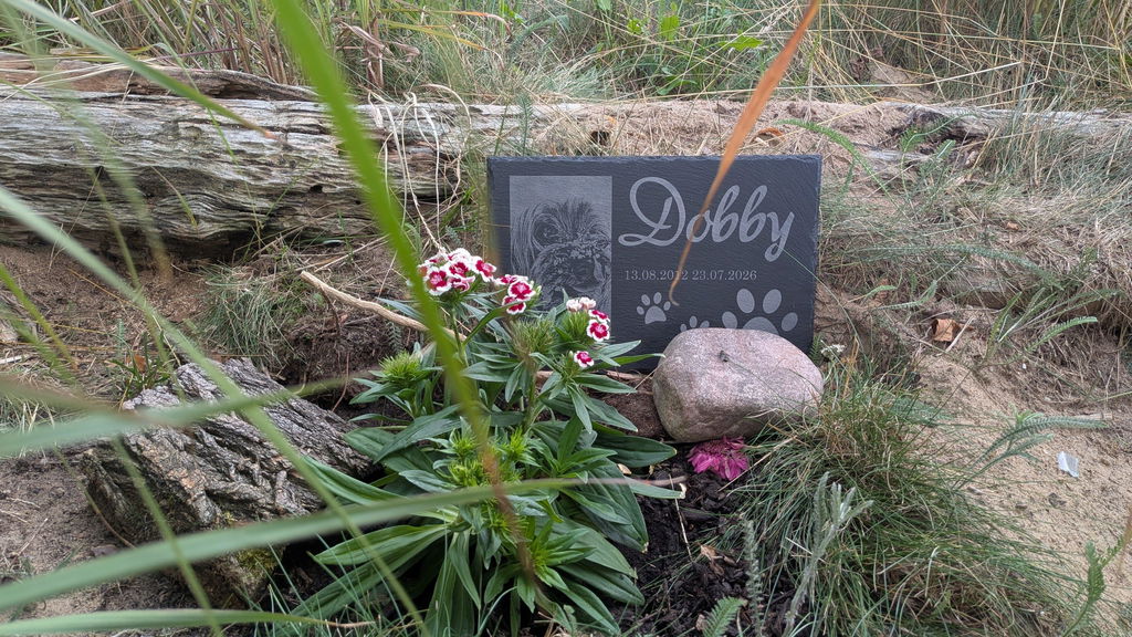 Personalisierter Schiefer Tiergrabstein 30x20cm - Foto Lasergravur