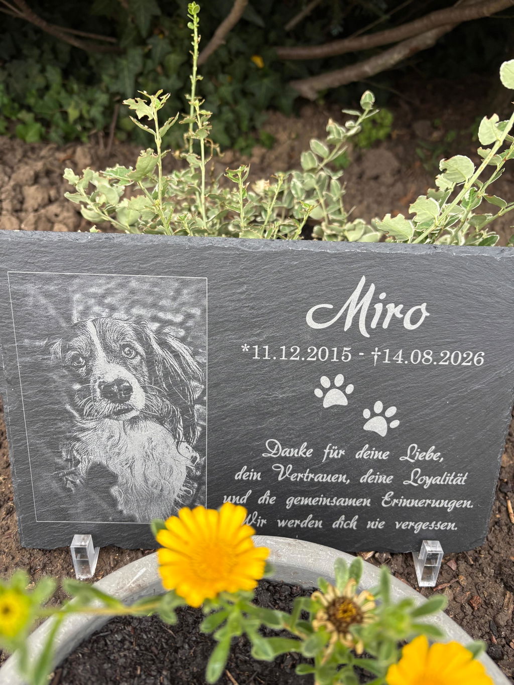 Personalisierter Schiefer Tiergrabstein 30x20cm - Foto Lasergravur