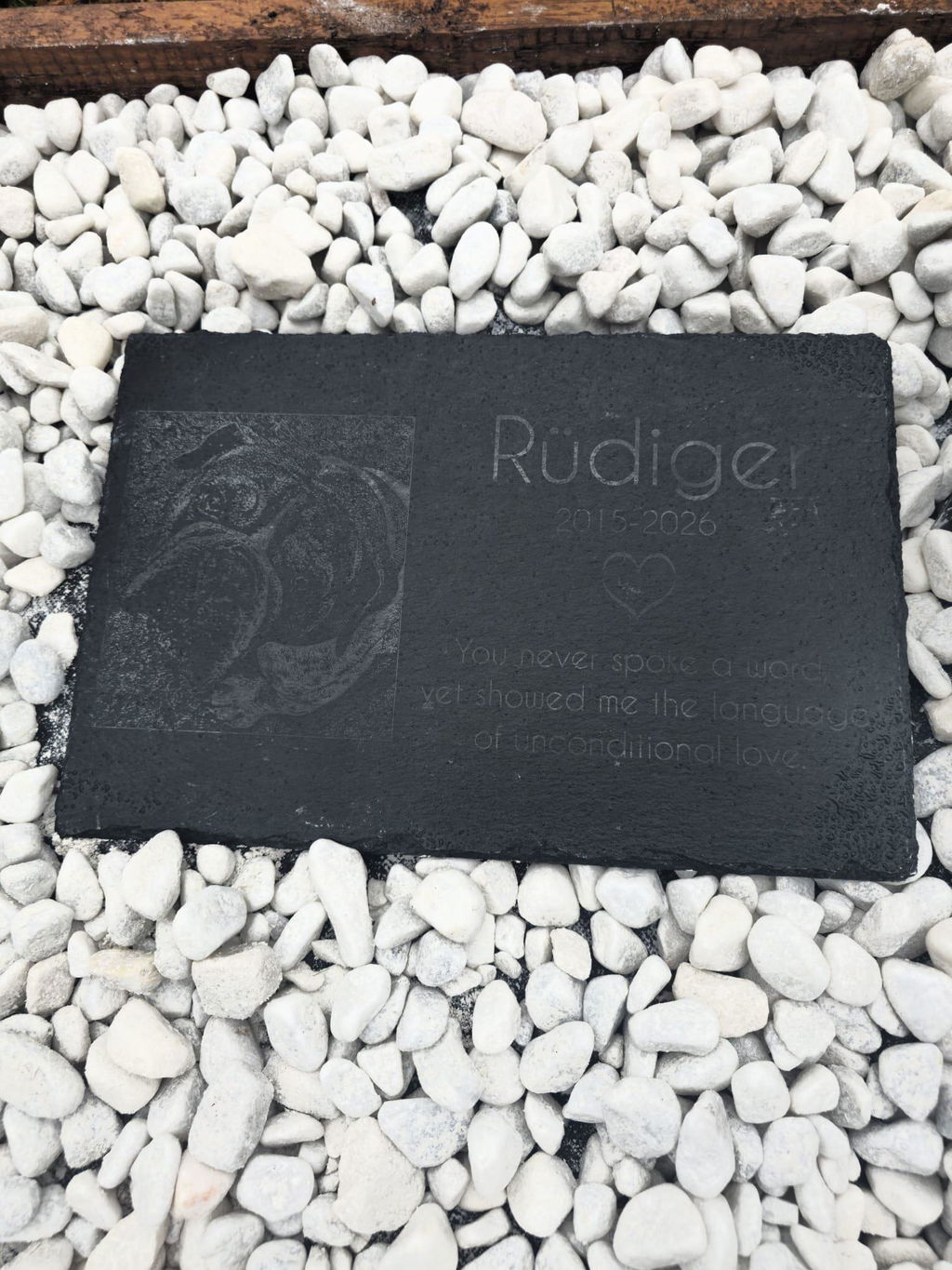 Personalisierter Schiefer Tiergrabstein 30x20cm - Foto Lasergravur