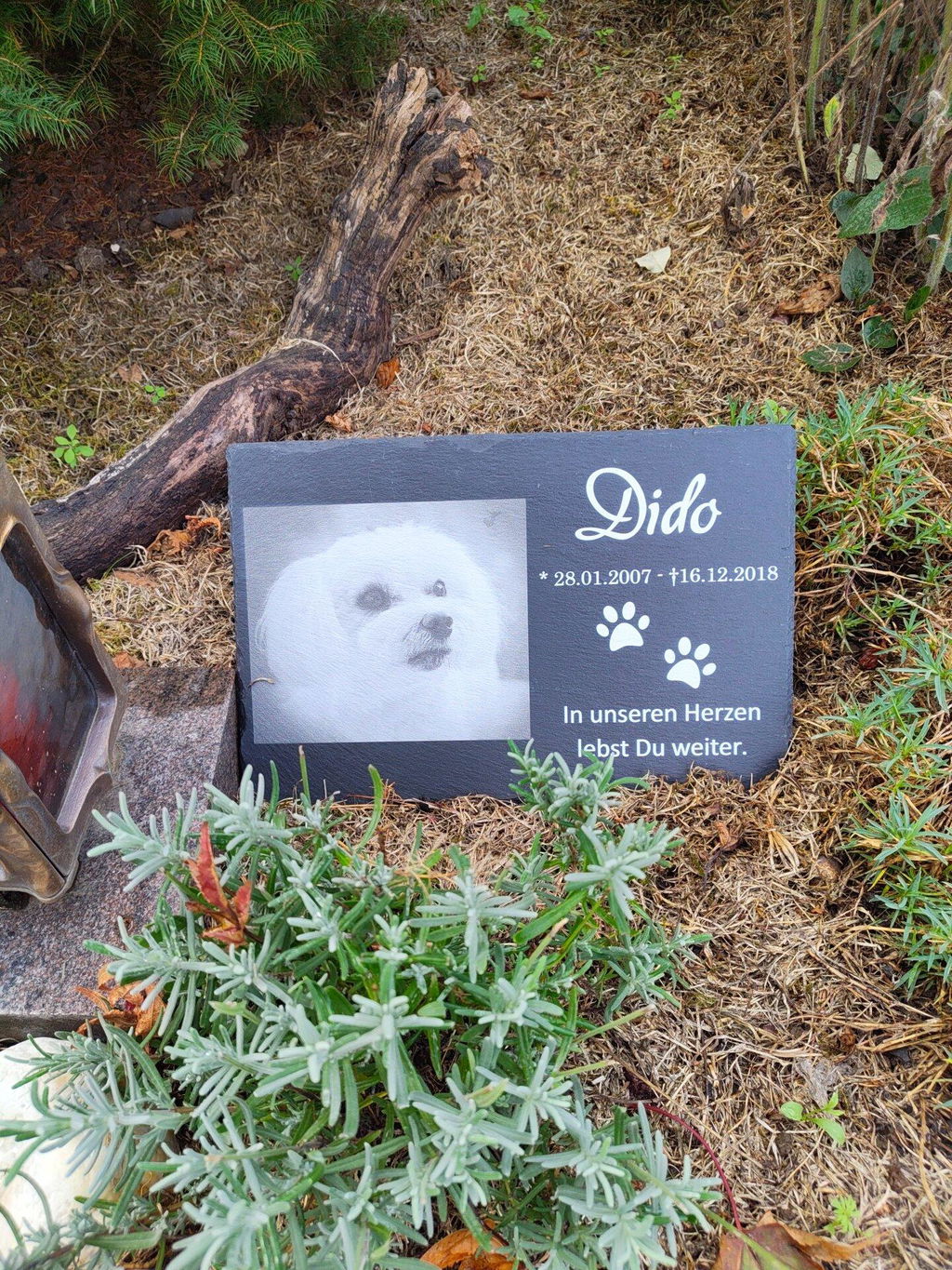Personalisierter Schiefer Tiergrabstein 30x20cm - Foto UV-Druck