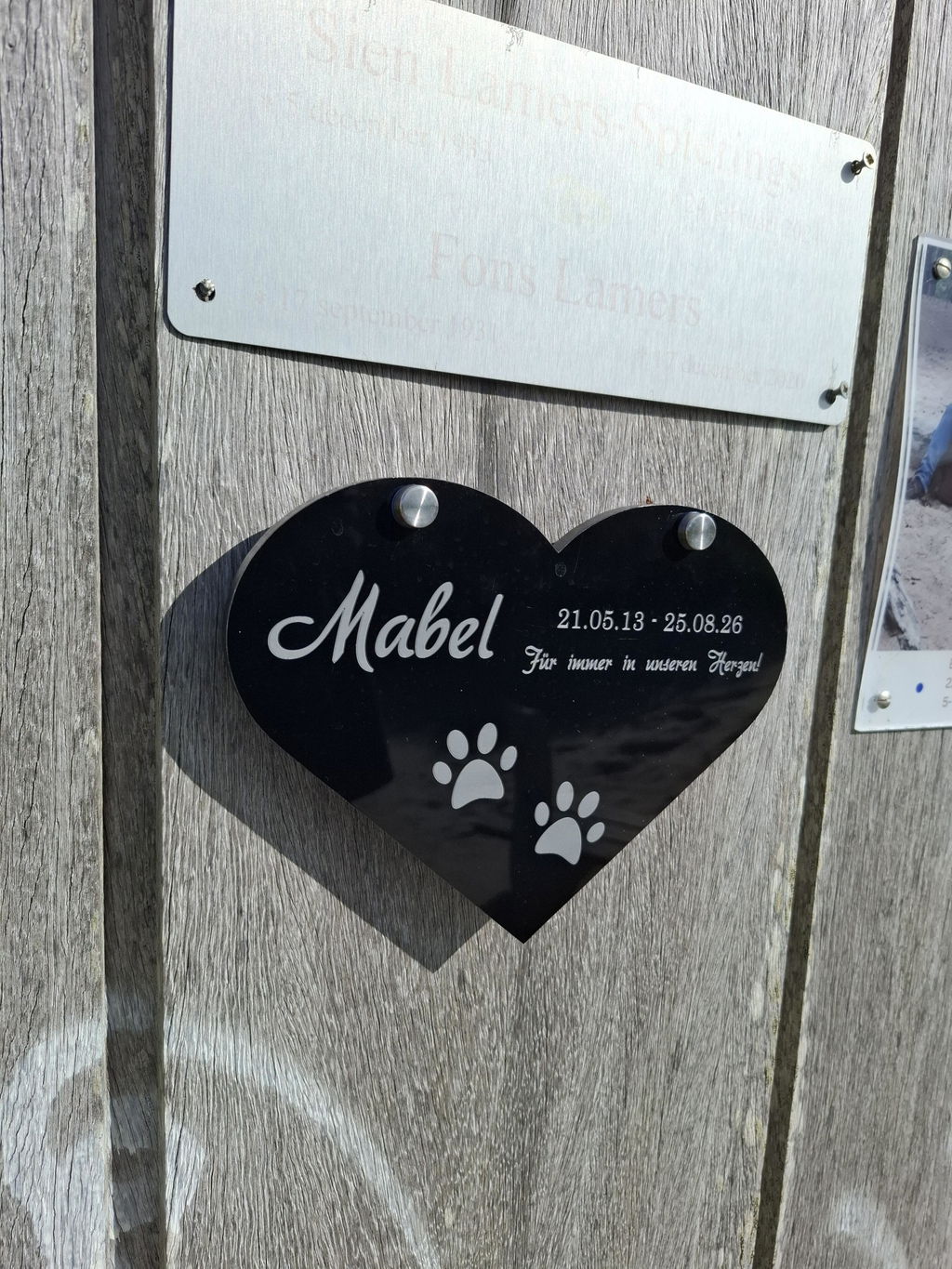 Personalisierter Acrylglas Tier Grabschmuck Herz - Foto Lasergravur