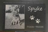 Silke review photo