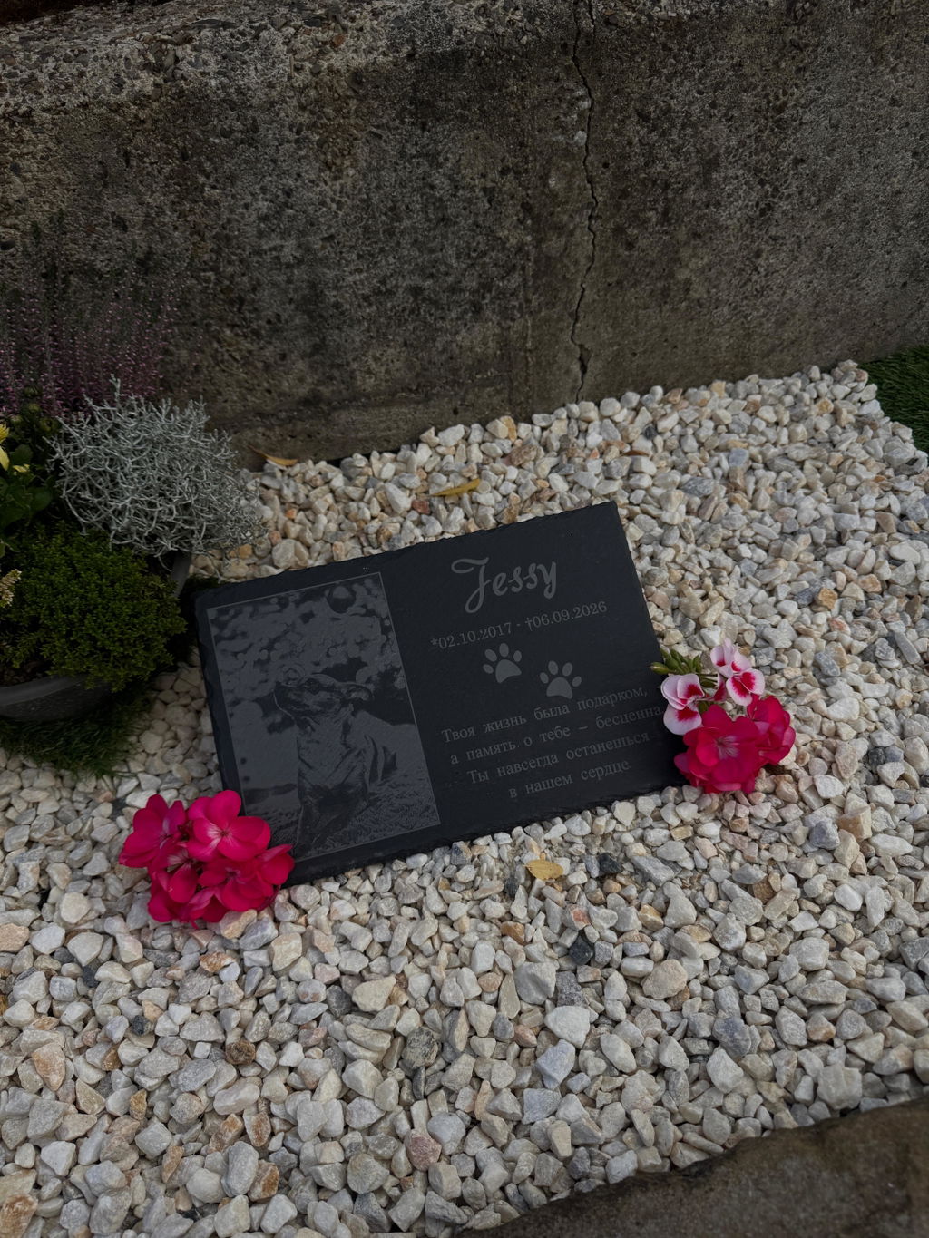 Personalisierter Schiefer Tiergrabstein 30x20cm - Foto Lasergravur