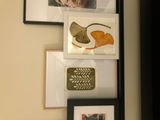 Cathy Kertzmann review photo