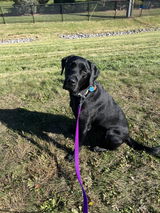 Melissa Berger review photo