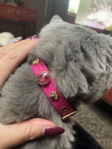 Alice Swarovski® Cat Collar | Hot Pink