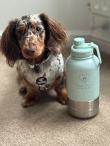 Kim & Goose 🪿 review photo
