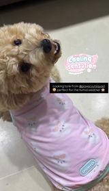 daisydoodooo review photo