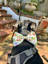 Katharine review photo