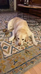Grady review photo