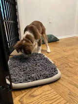 Brian Foster review photo