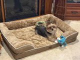 Delia Ramsey review photo