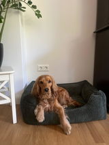 Hundebett ANTON Cord Olive