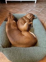 Hundebett SVEN Teddy Olive