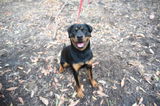 Chantelle review photo