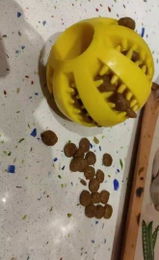 Benni_4 review photo