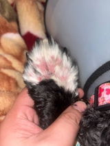 Customer review photo