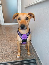 Brunhilde S. review photo