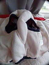 Simon M. review photo