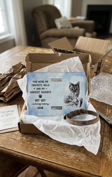 Donna T. review photo