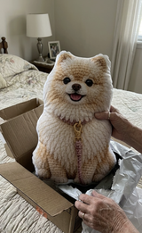 Chrissy B review photo