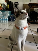 Suzette Sanchez review photo