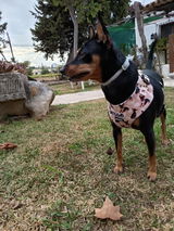 Leticia review photo