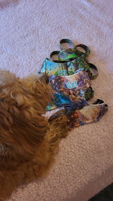 Mireya review photo