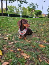 Raquel review photo
