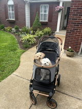 Lisa review photo
