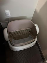 Jeston review photo